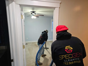 Professional Carpet Cleaning​