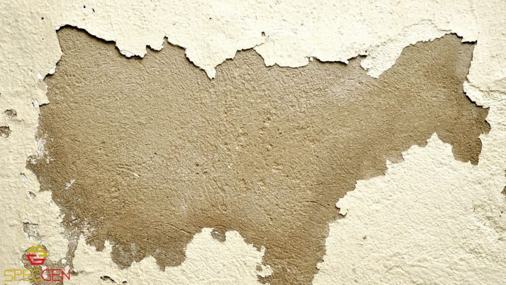 Water Damage Restoration in Toms River NJ