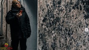 Mold Remediation in Ocean County