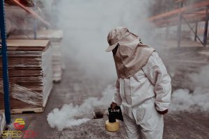 Post-Exterminator Cleanup in Jackson, NJ