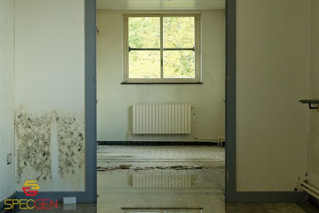 Commercial Water Damage Restoration in New Jersey