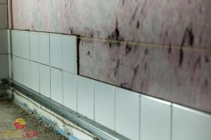 Mold After Water Damage in New Jersey